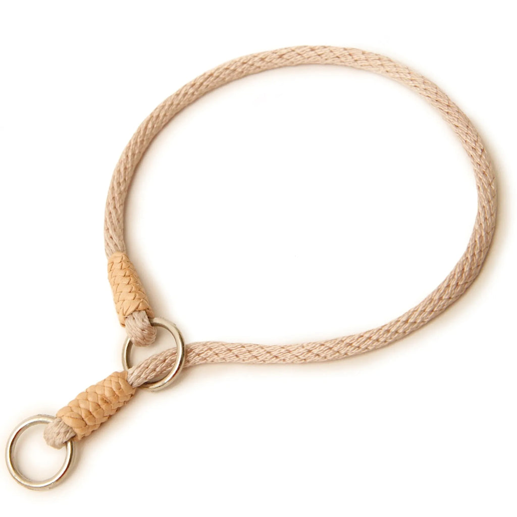 Nylon dog slip collar from Alvalley LLC, 10-inch by 1/8-inch (4mm), showing a black adjustable slip collar for pets.