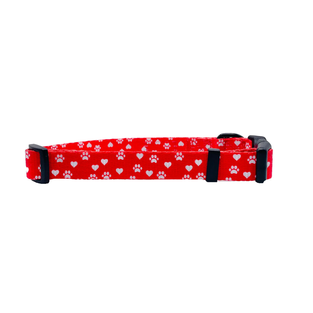 Colorful Cutie Ties Fun Design dog collar with playful pattern, adjustable strap, and secure buckle for small to medium dogs.