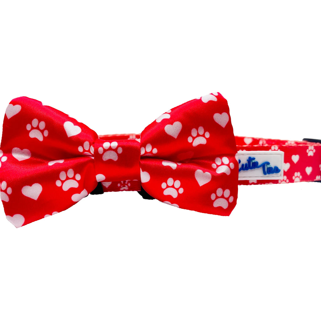 Colorful Cutie Ties Fun Design Dog Collar with playful patterns, made for small to medium dogs, by Cutie Ties.