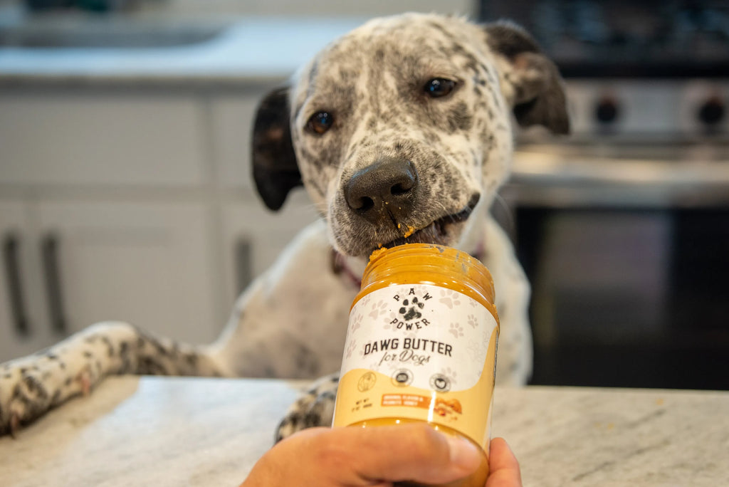 Paw Power Nutrition Dawg Butter dog treats in a resealable bag with images of dogs and treats on the packaging