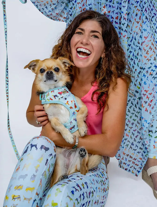 Blue Buddies large dog harness in blue with adjustable straps and padded design for comfortable outdoor walks.