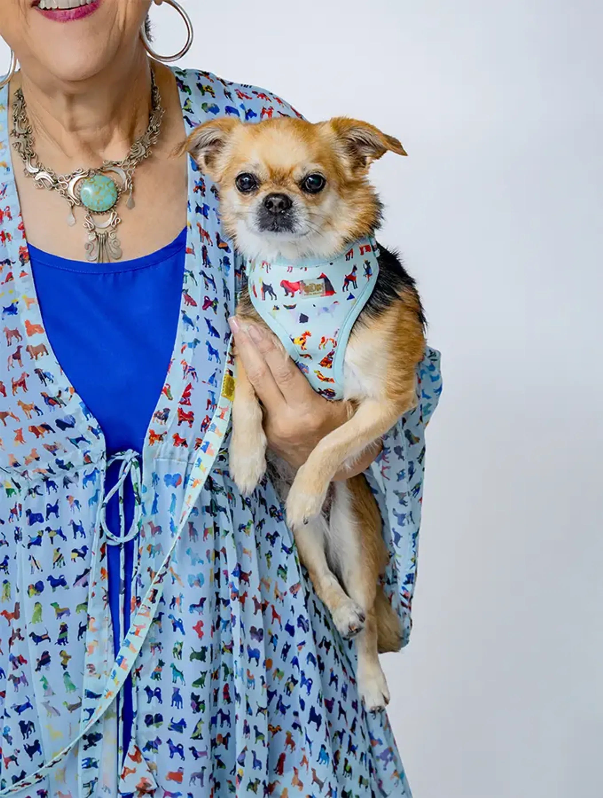 Blue Buddies Dog Harness in large size, blue color, adjustable straps, designed for comfortable pet walking.