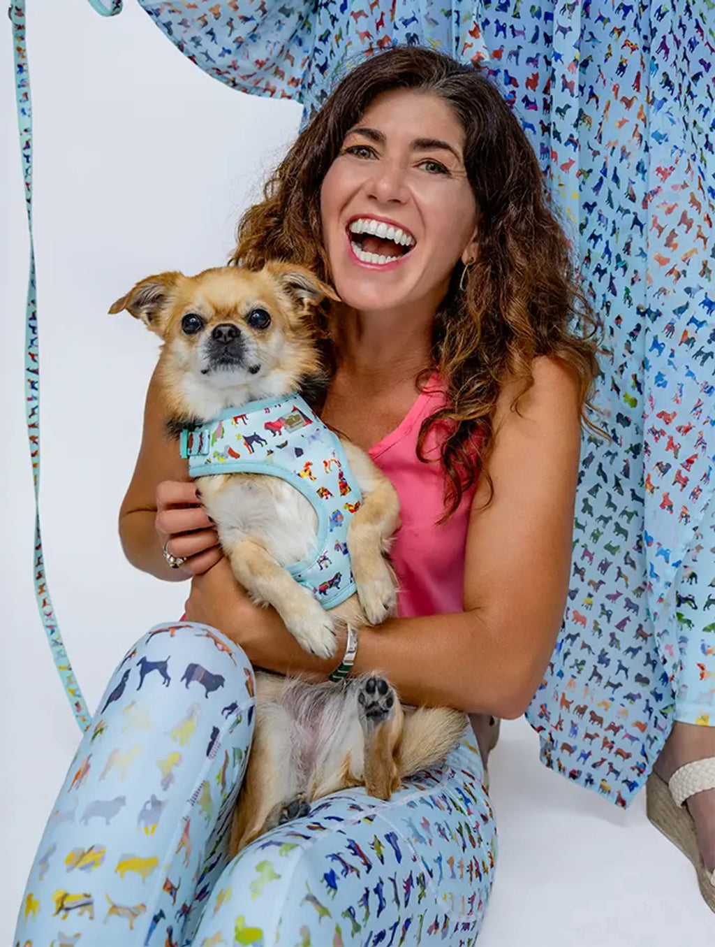 Blue Buddies Dog Harness in XXS size, featuring a blue color and adjustable straps, designed for small dogs.
