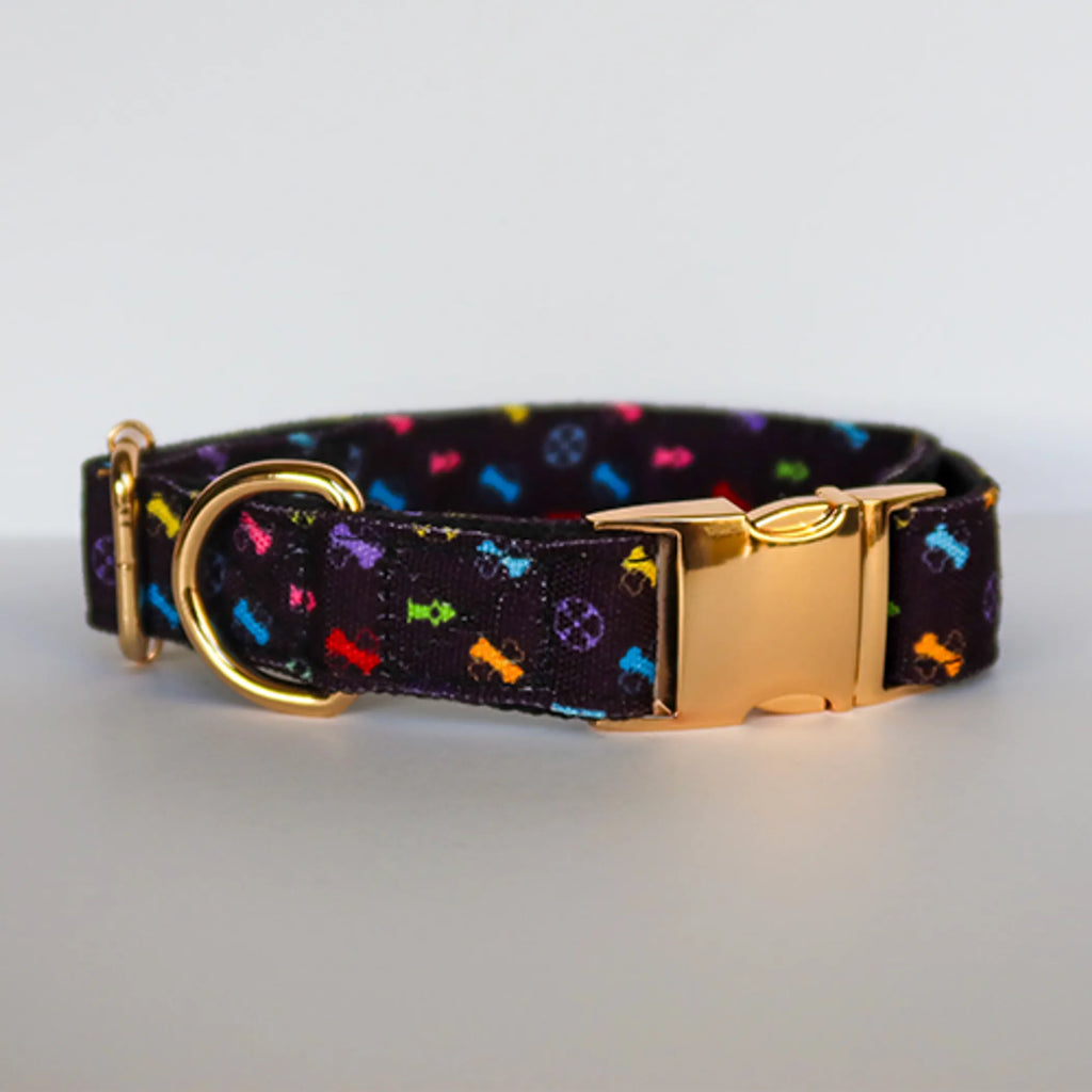 Green pet shop Standard Bonejour dog collar with adjustable strap and bone design for comfortable pet wear.