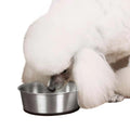 Proselect stainless steel pet bowl with 16oz capacity and silicone base, designed for pets, shown on a clean surface.