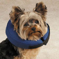Inflatable dog collar from Total Pet Health, showcasing a soft, cushioned protective cone for pet comfort and safety.