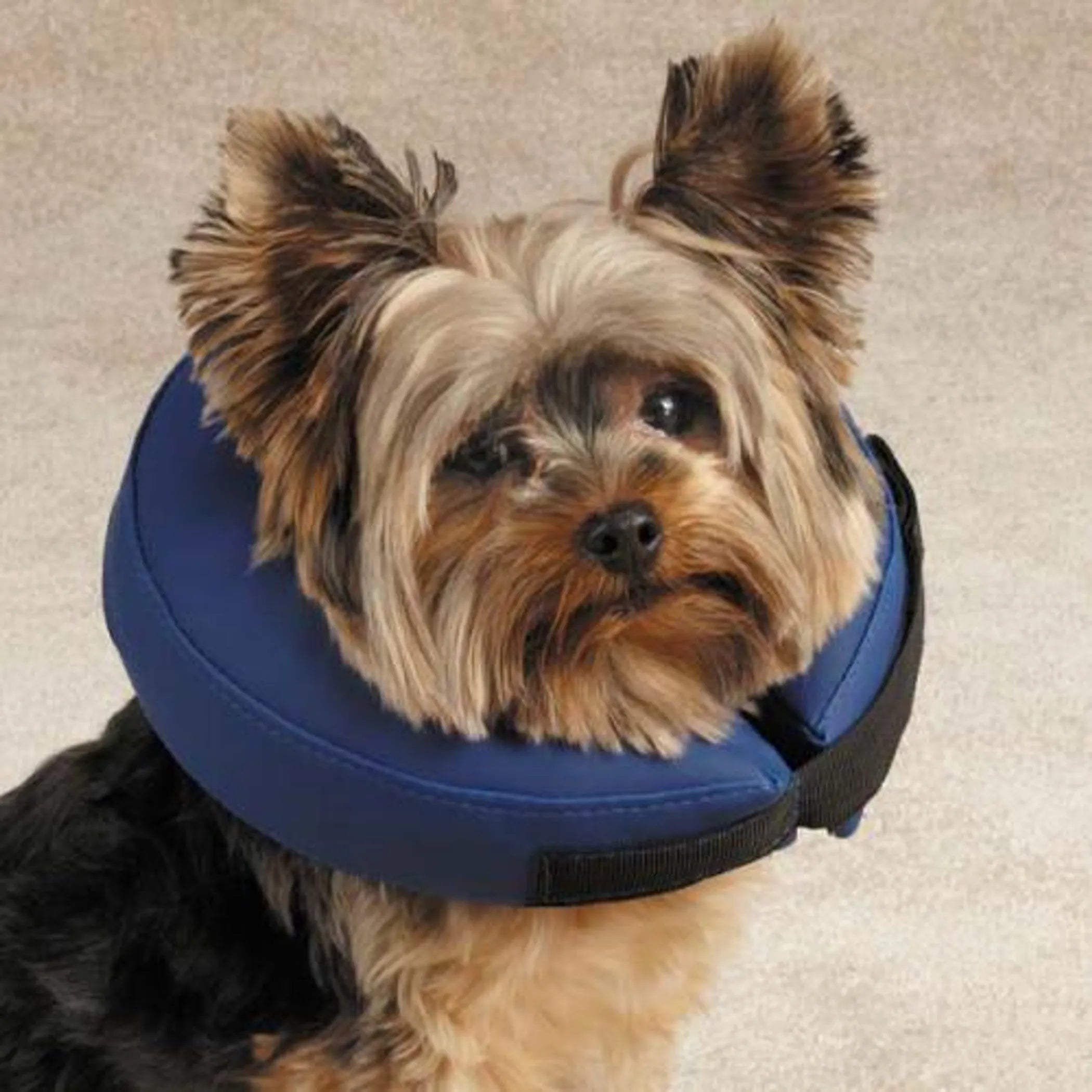 Inflatable dog collar from Total Pet Health, showcasing a soft, cushioned protective cone for pet comfort and safety.