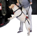 Total Pet Health Lift & Go Dog Harness showing adjustable straps and padded handle for secure walking and lifting.