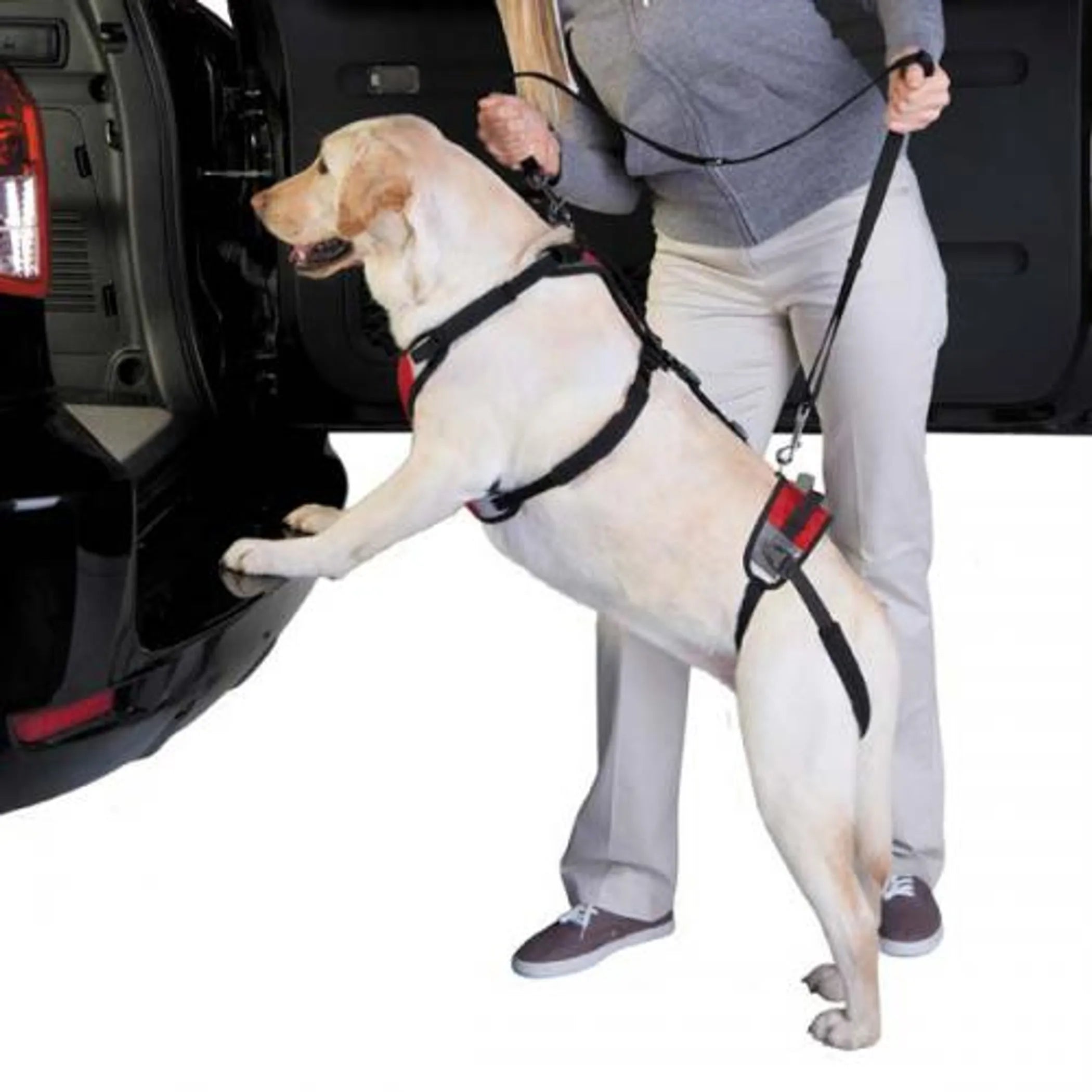 Total Pet Health Lift & Go Dog Harness, adjustable black harness with padded straps and metal clip for secure walking.