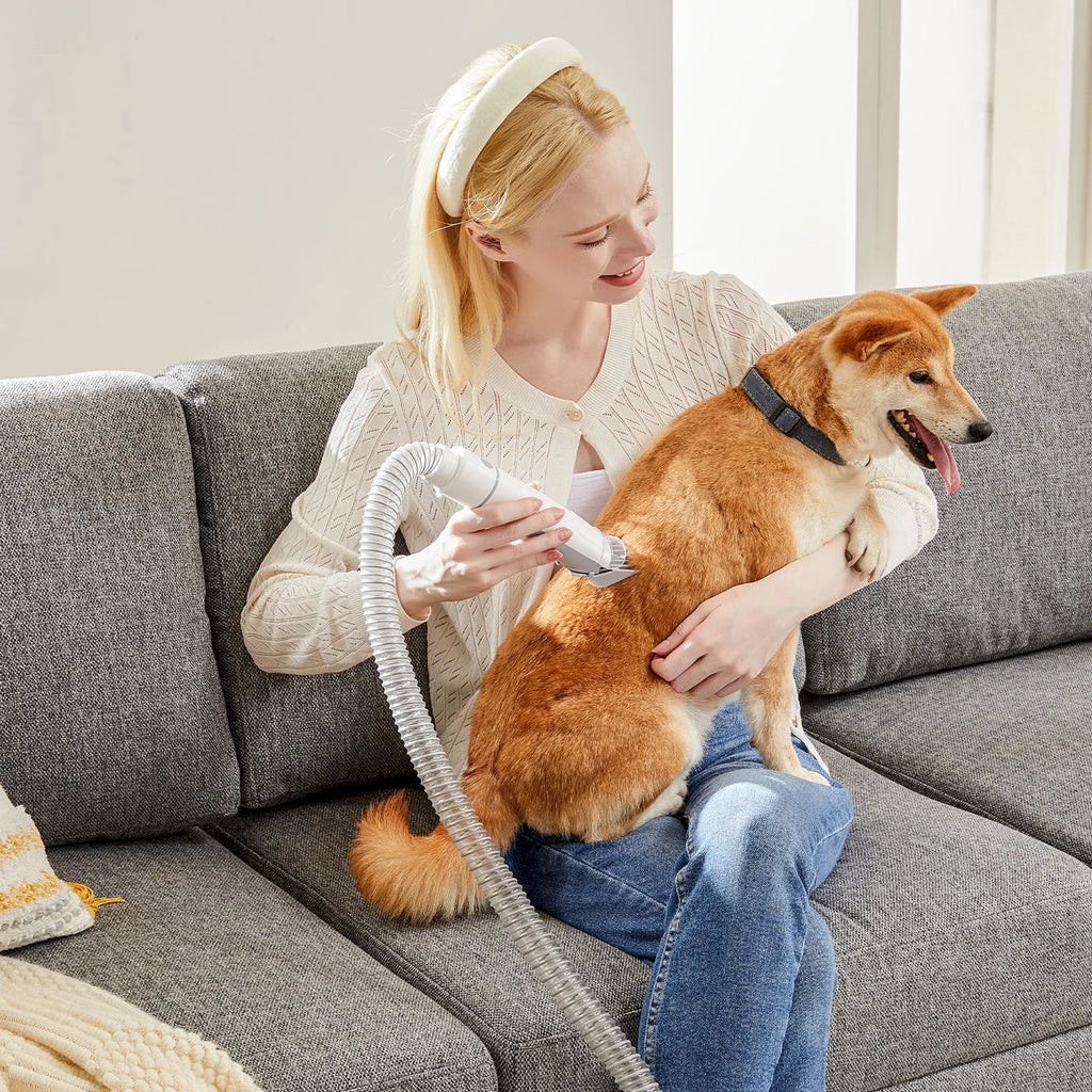 BlakHom professional pet grooming clippers with 2.5L cup and three suction modes, ideal for pet grooming and trimming.