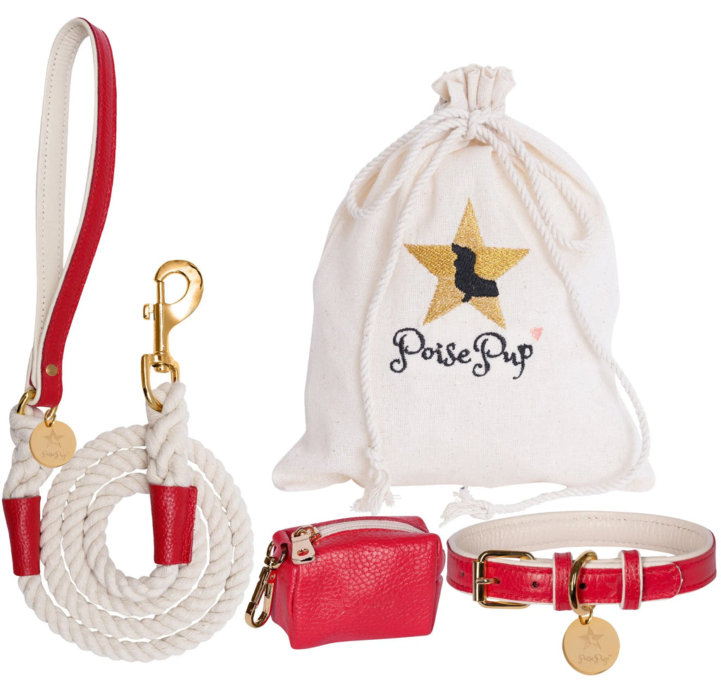 PoisePup grooming harness with adjustable straps, durable nylon material, and secure metal buckles for pets.