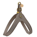 PoisePup Desert Mint pet harness with adjustable straps and breathable material, designed for comfortable dog walks.