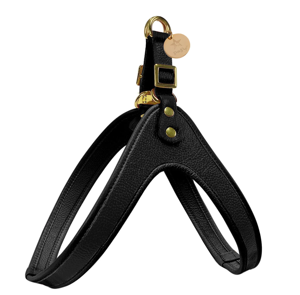 PoisePup step-in harness for grooming supplies, lightweight and adjustable dog harness with secure buckle and comfortable fit.
