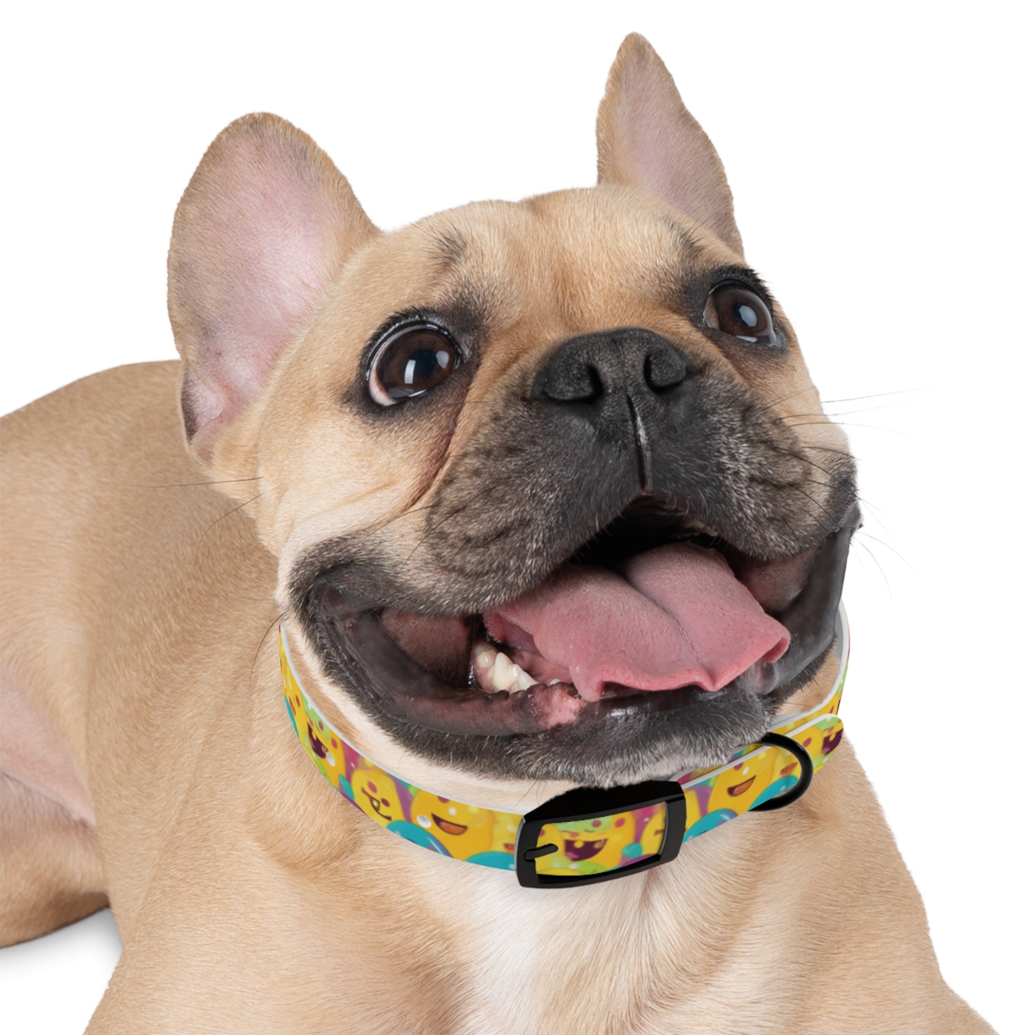 Giggle Crowd of Rainbow Blob Critters - Pet Collar Pet Zen