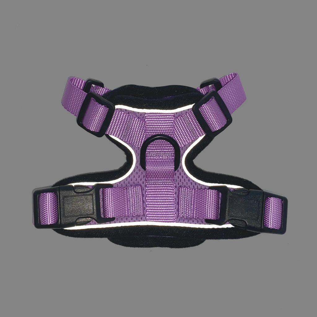Reflective Mr. Peanut's PurrTrek cat harness with matching leash, showcasing adjustable straps and reflective material for safety.