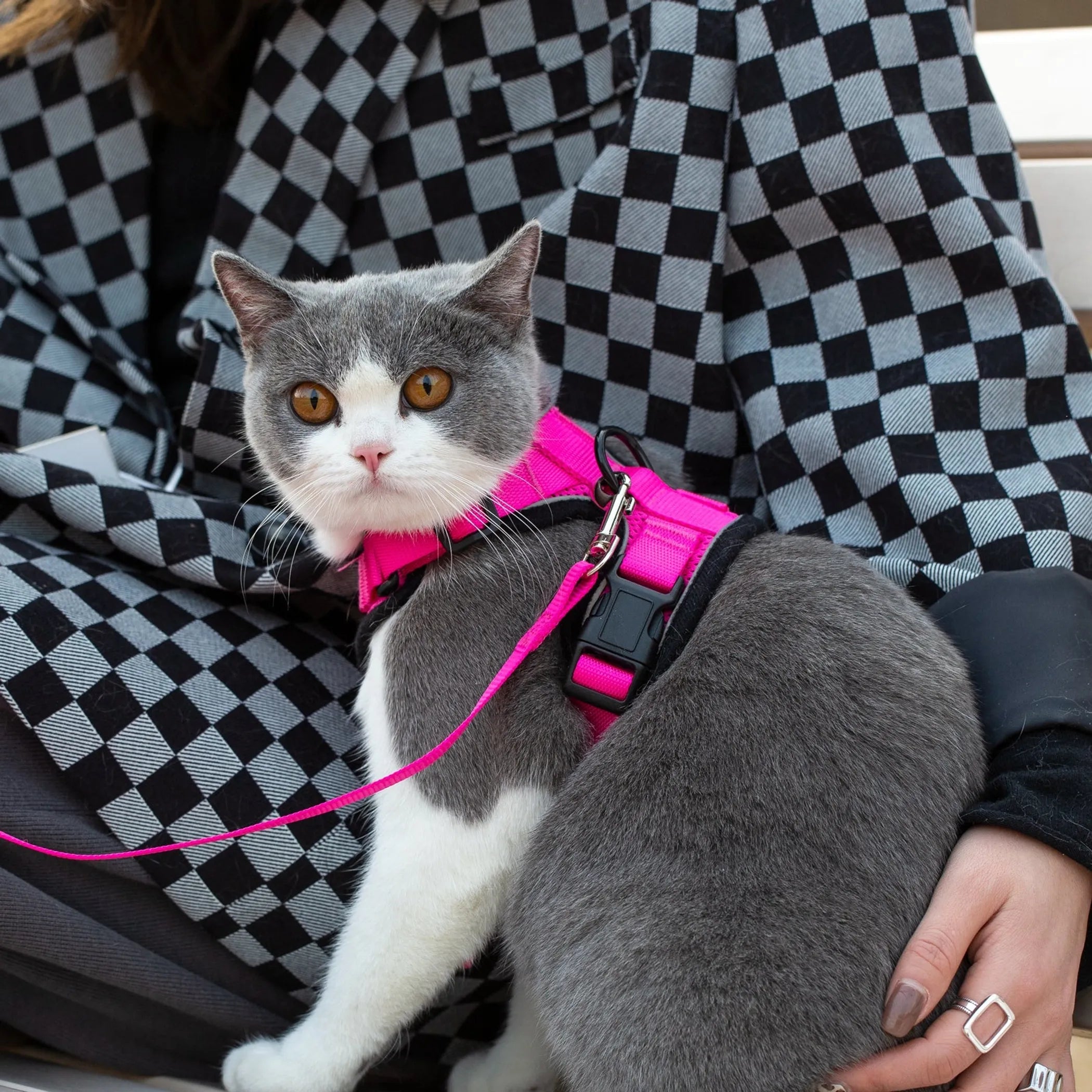 Reflective cat harness and matching leash from Mr. Peanut's PurrTrek collection, designed for secure and comfortable outdoor walks.