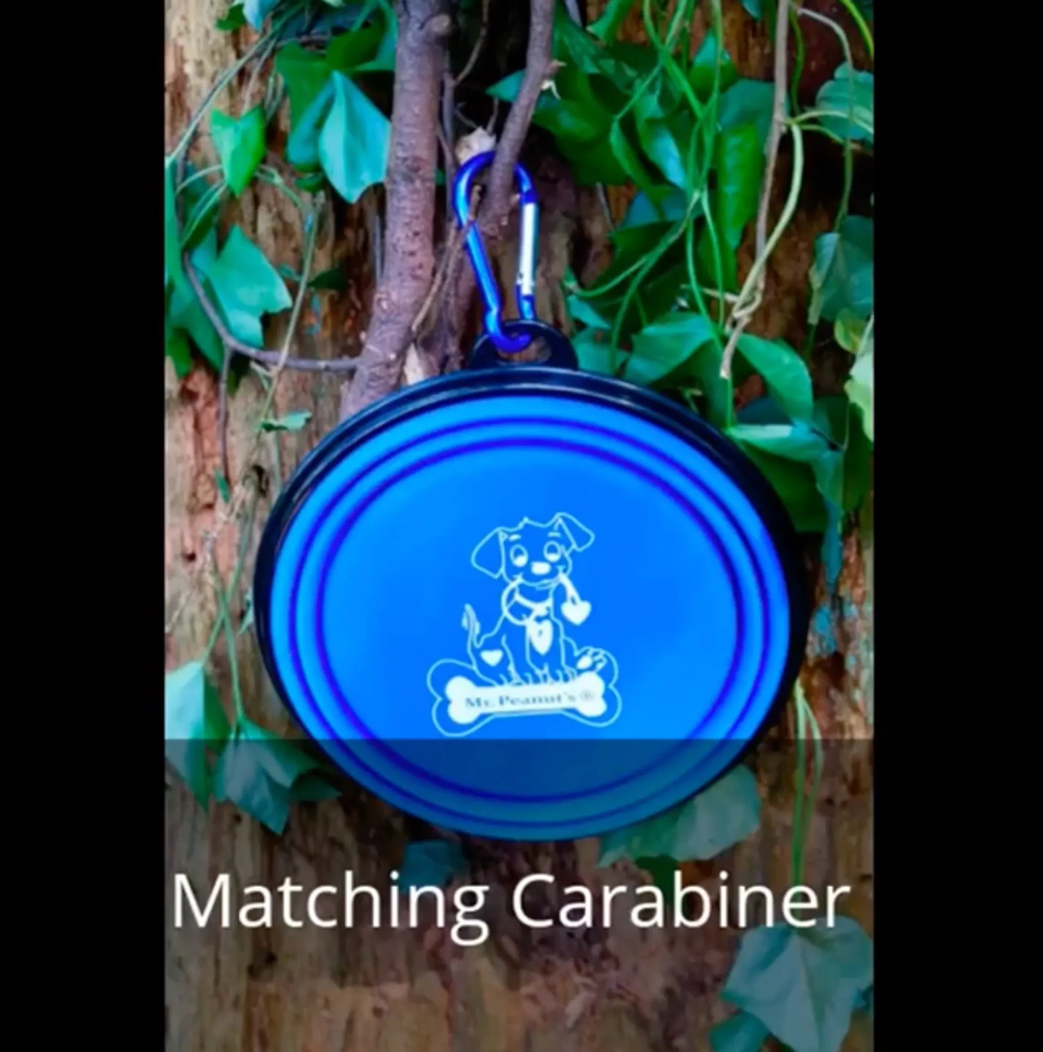 Blue silicone collapsible travel bowl for dogs and cats by Mr. Peanut's Premium Products, featuring a compact, portable design for pet food and water.