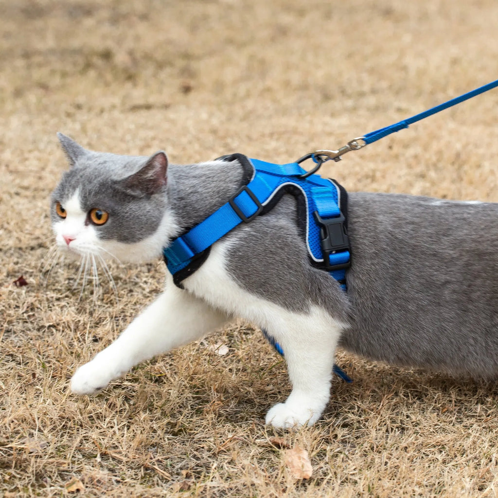 Reflective cat harness with matching leash by Mr. Peanut's Premium Products, designed for secure and stylish pet walks.