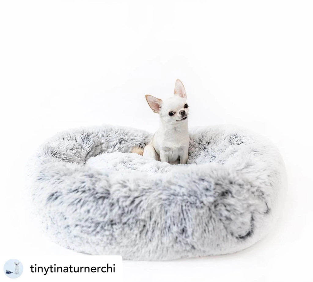 Soft plush dog bed from Mr. Peanut's OrthoPlush collection, designed for comfort and support for pets.