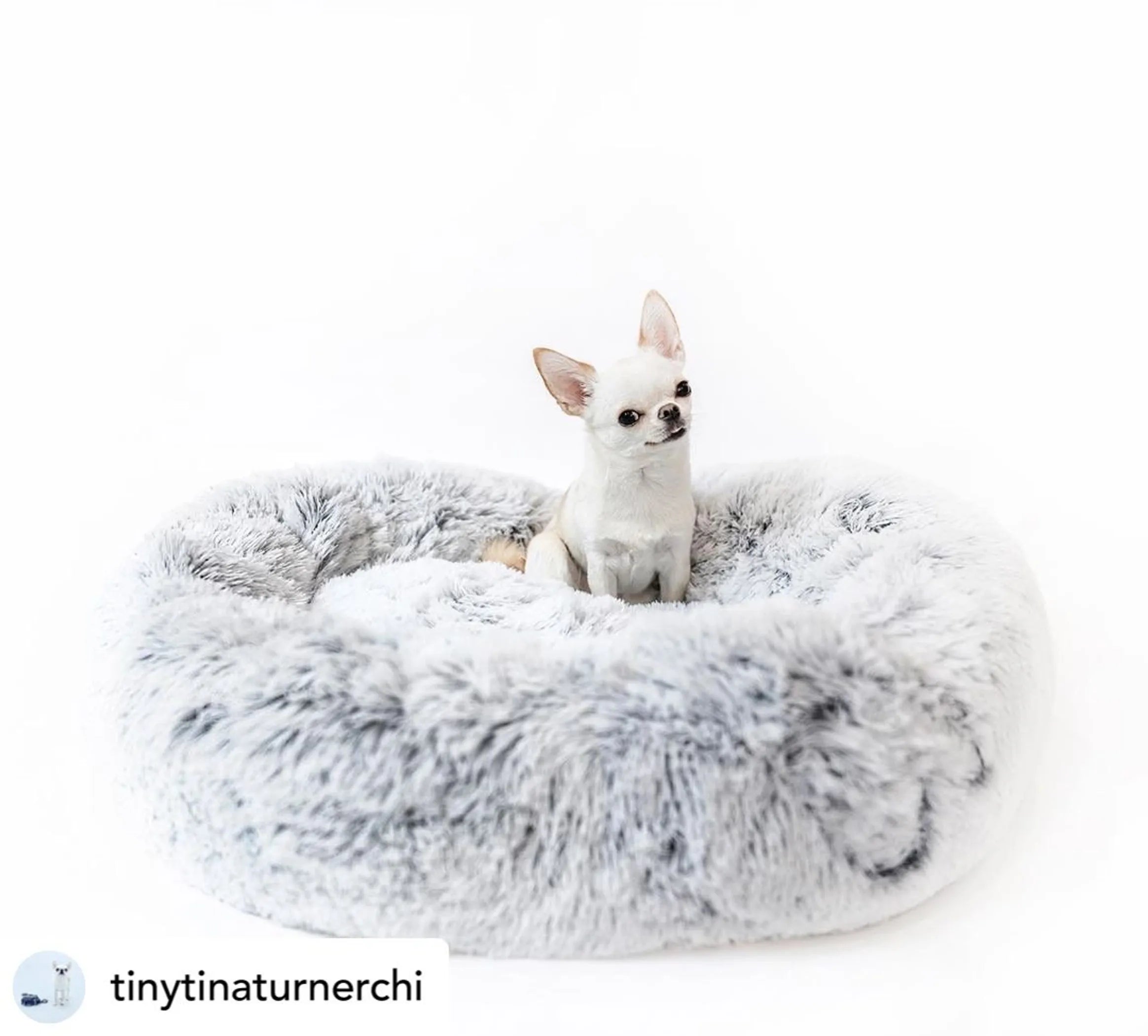 Soft plush dog bed from Mr. Peanut's OrthoPlush collection, designed for comfort and support for pets.