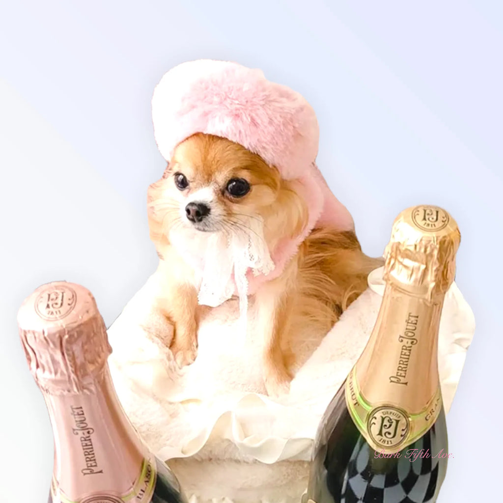 Cute pet costume featuring a furry beret hat for cats and small dogs, branded by Bark Fifth Avenue.