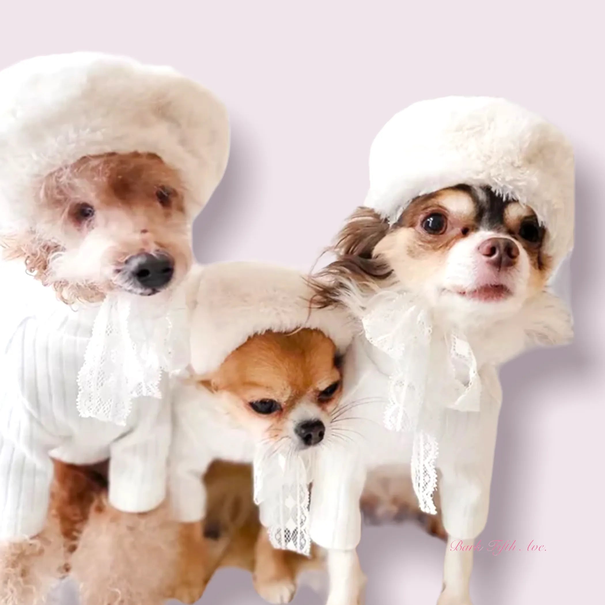 Cute pet costume featuring a furry beret hat for cats and small dogs, branded Bark Fifth Avenue, perfect for stylish pets.