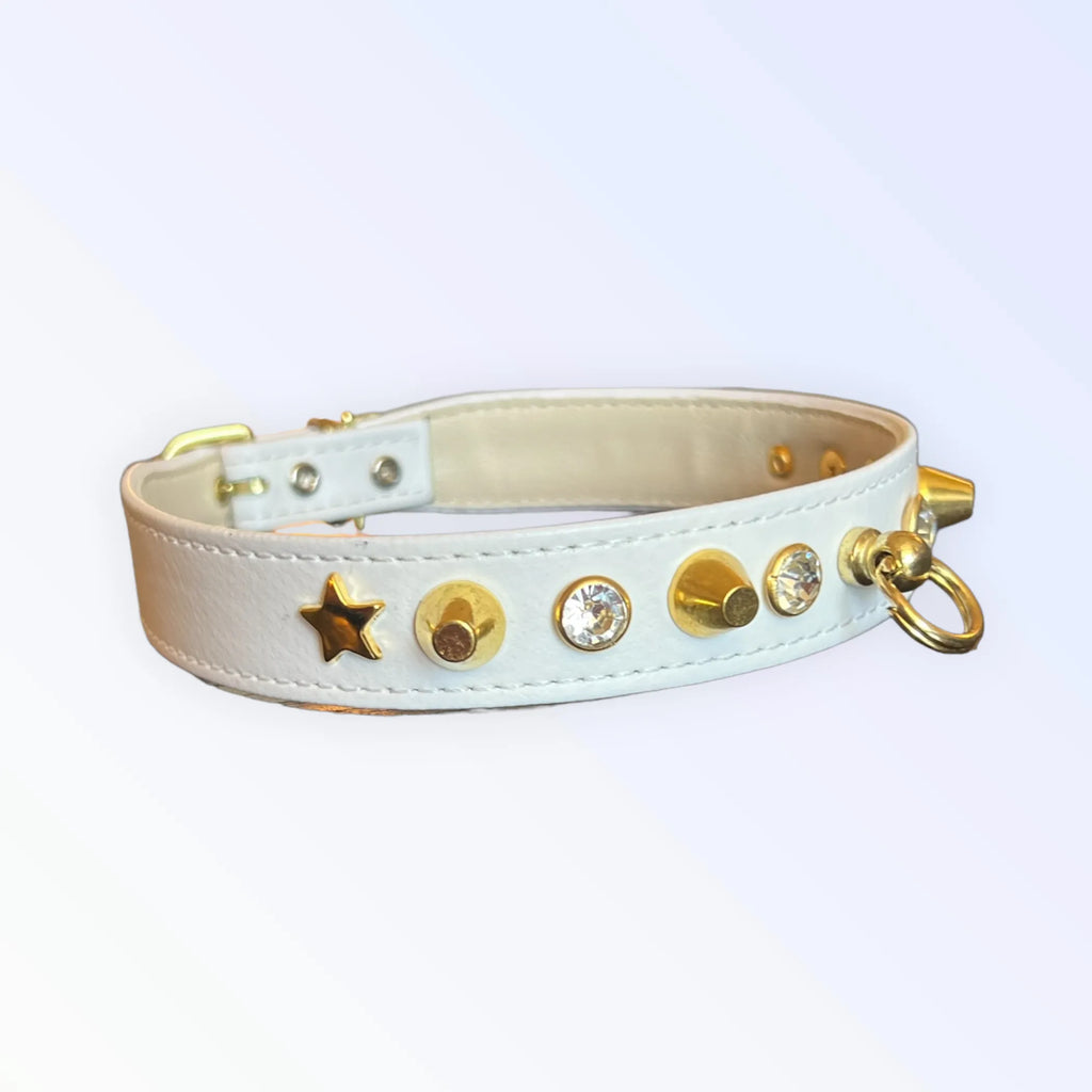 Dog collar with studded design from Bark Fifth Avenue's Popstar collection, featuring a stylish and durable dog collar.