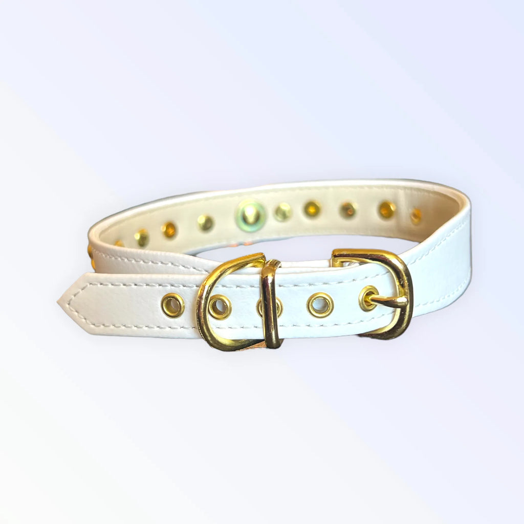 Dog collar with studded design, Bark Fifth Avenue Popstar Studded Collar for stylish dogs, featuring a sturdy buckle and decorative studs.