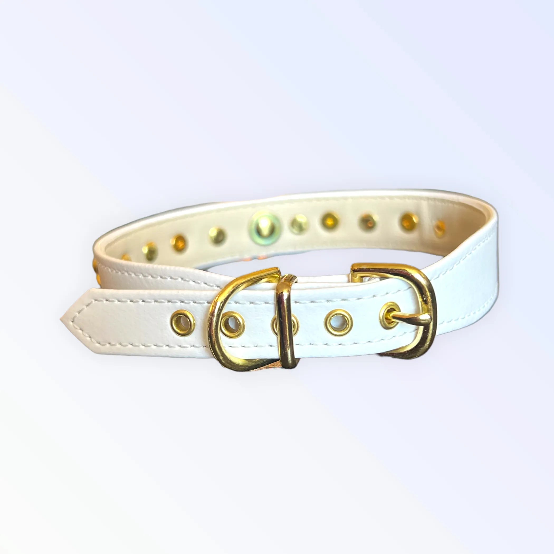 Dog collar with studded design, Bark Fifth Avenue Popstar Studded Collar for stylish dogs, featuring a sturdy buckle and decorative studs.