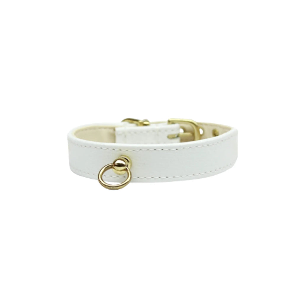 Azure CC dog collar by Bark Fifth Avenue featuring stylish design, perfect for everyday wear on small to medium dogs.