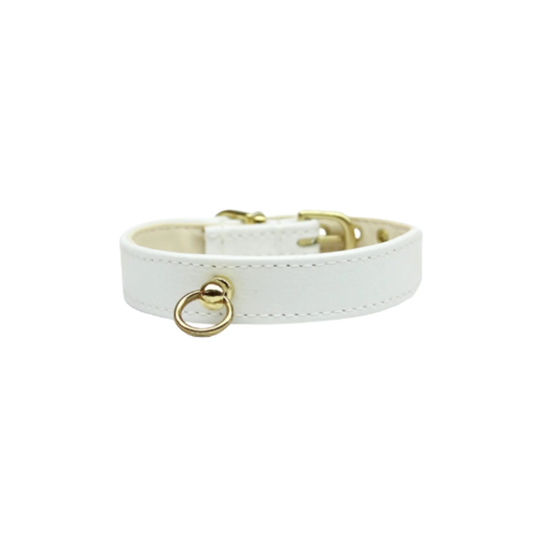 Azure CC dog collar by Bark Fifth Avenue featuring stylish design and adjustable fit for everyday wear on small to medium dogs.