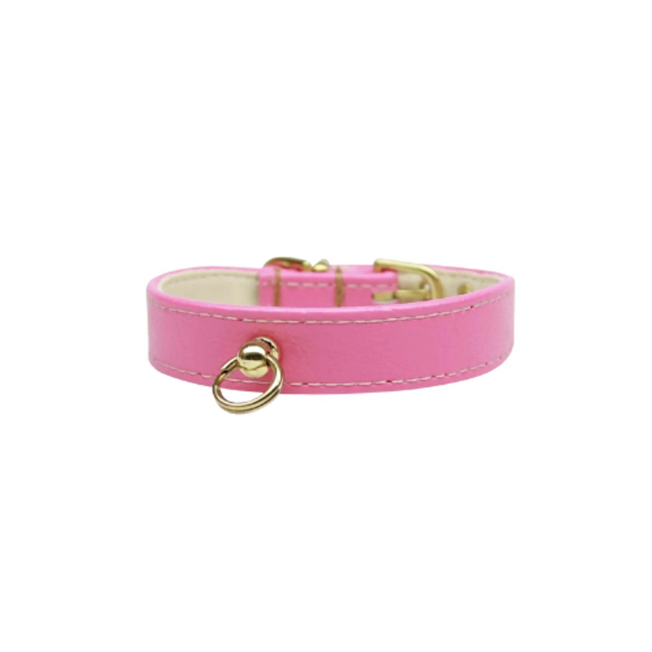 Azure CC dog collar by Bark Fifth Avenue featuring a stylish design, perfect for everyday wear on small and medium dogs.