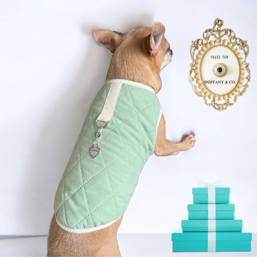 Dog wearing Bark Fifth Avenue Quilted Sniffany Puff Vest, stylish dog coat with quilted design and warm padding.