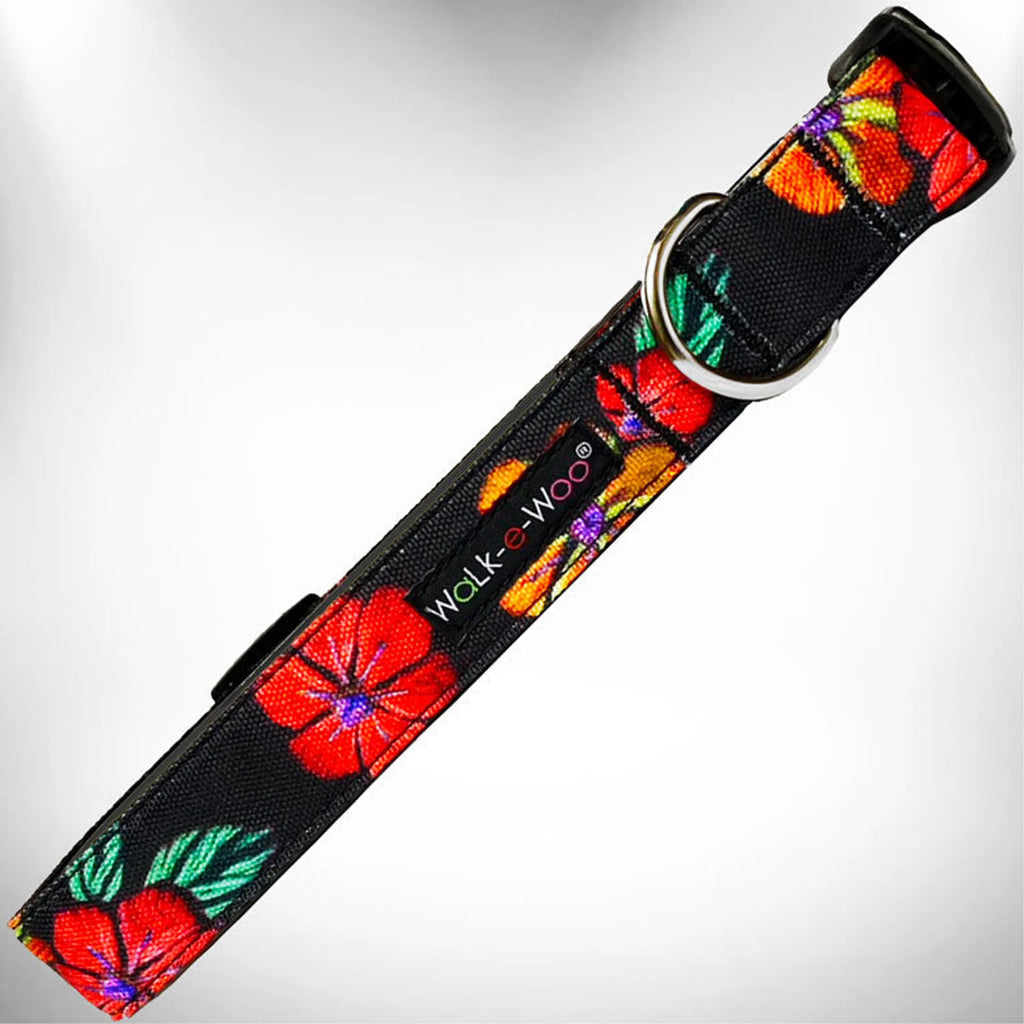 Colorful Nature-Lover dog collar by Walk-e-Woo featuring eco-friendly design and adjustable strap for outdoor adventures.