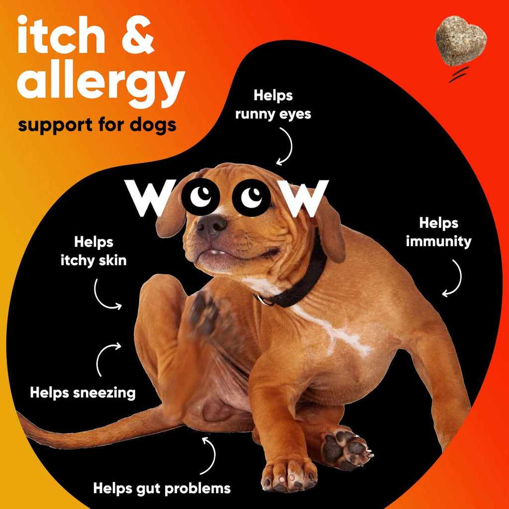 DR WOOW Allergy and Immunity Soft Chews for animals, showing the soft chew tablets in a container, designed for pet health support.