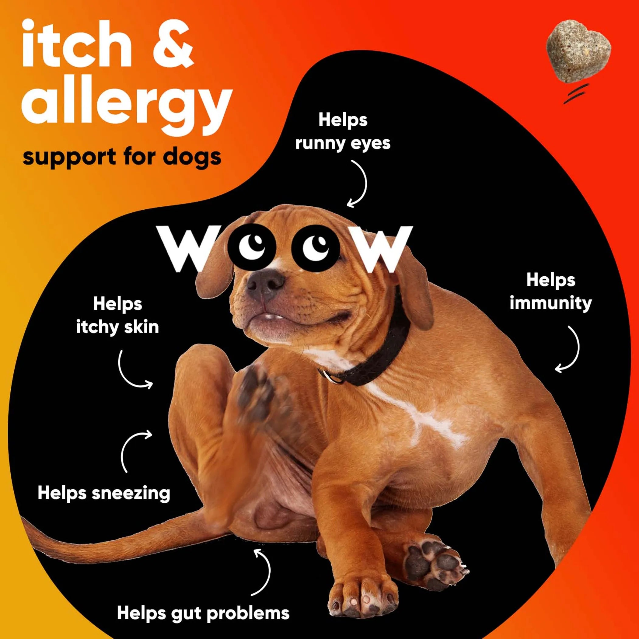 DR WOOW Allergy and Immunity Soft Chews for animals, showing the soft chew tablets in a container, designed for pet health support.