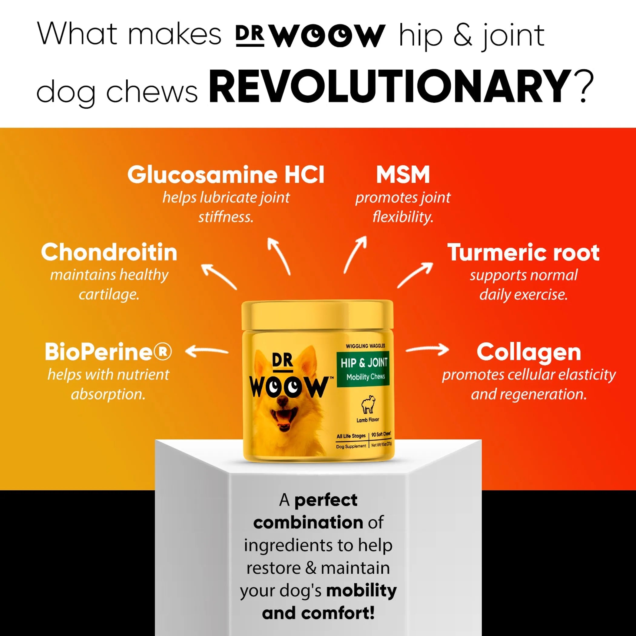 DR WOOW Hip and Joint Support soft chews for animals, showing the chewy treats in a natural setting.