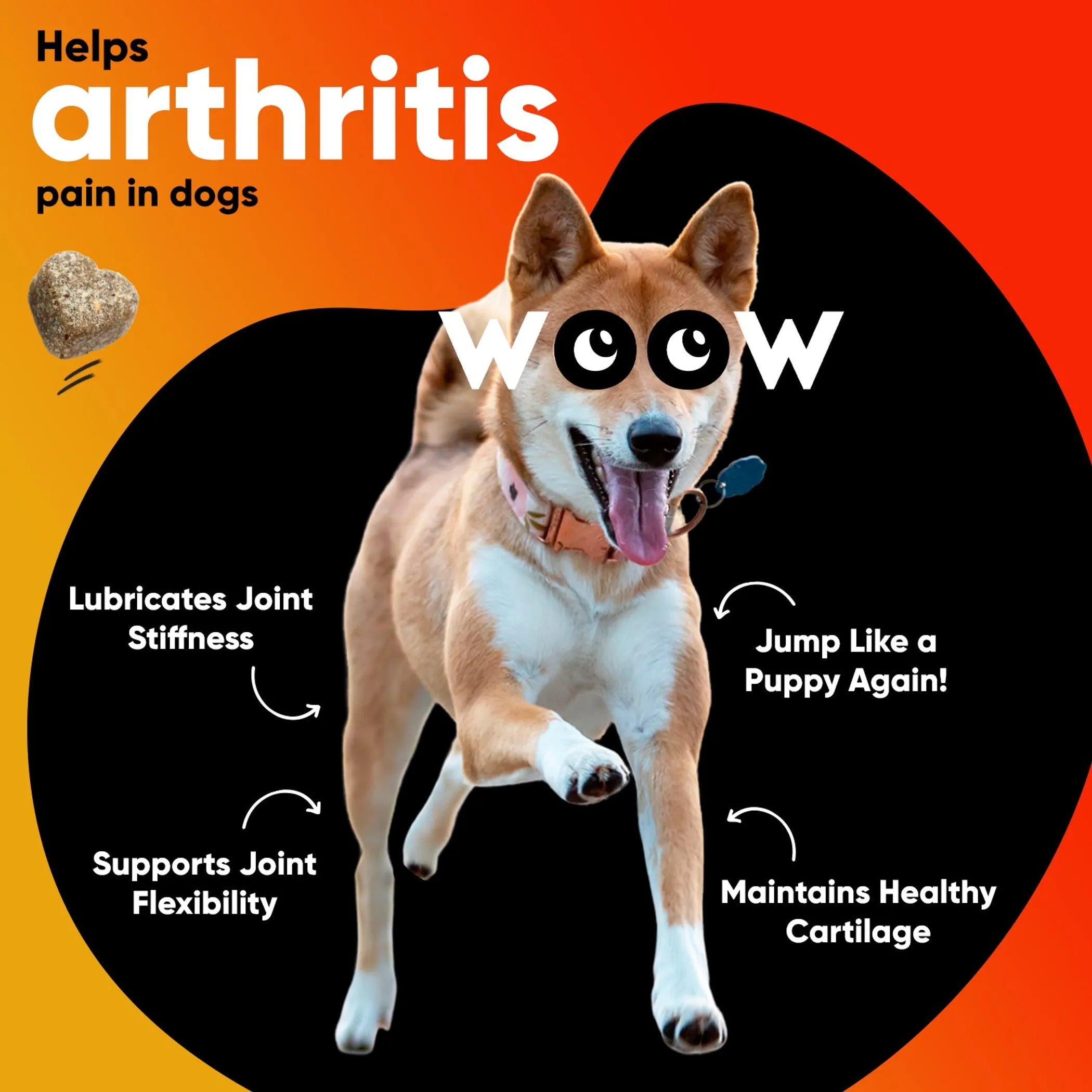 DR WOOW Hip and Joint Support Soft Chews for dogs, showing the chew treats in a natural setting.