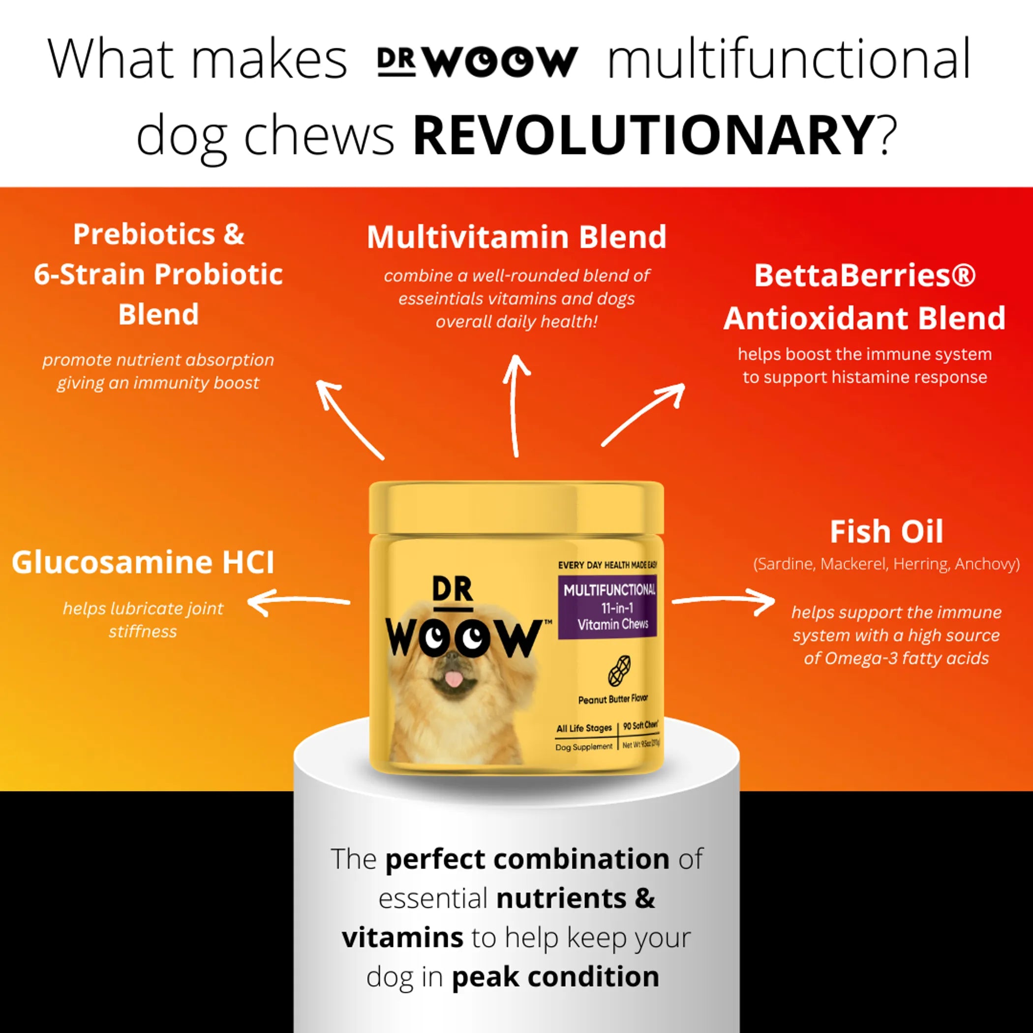 DR WOOW 11-in-1 animal vitamin chews, multifunctional supplement for pets, in a clear container with colorful chew tablets.