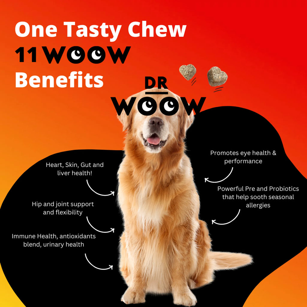 Dog vitamin chews from DR WOOW, 11-in-1 multifunctional animal supplements, with colorful, bone-shaped treats in a bowl.