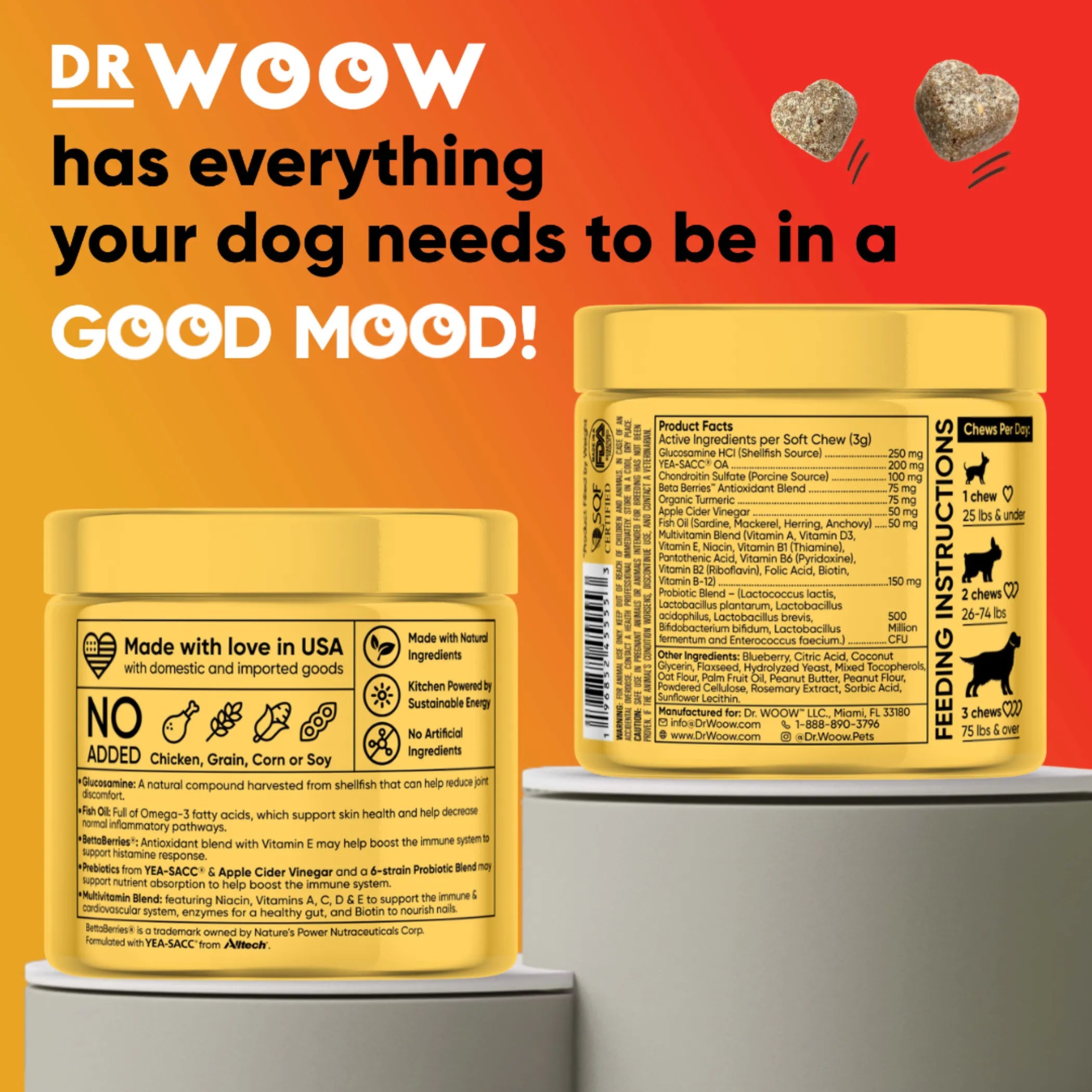 Dog vitamin chews by DR WOOW, multifunctional 11-in-1 animal supplements in bite-sized treats for pet health and wellness.