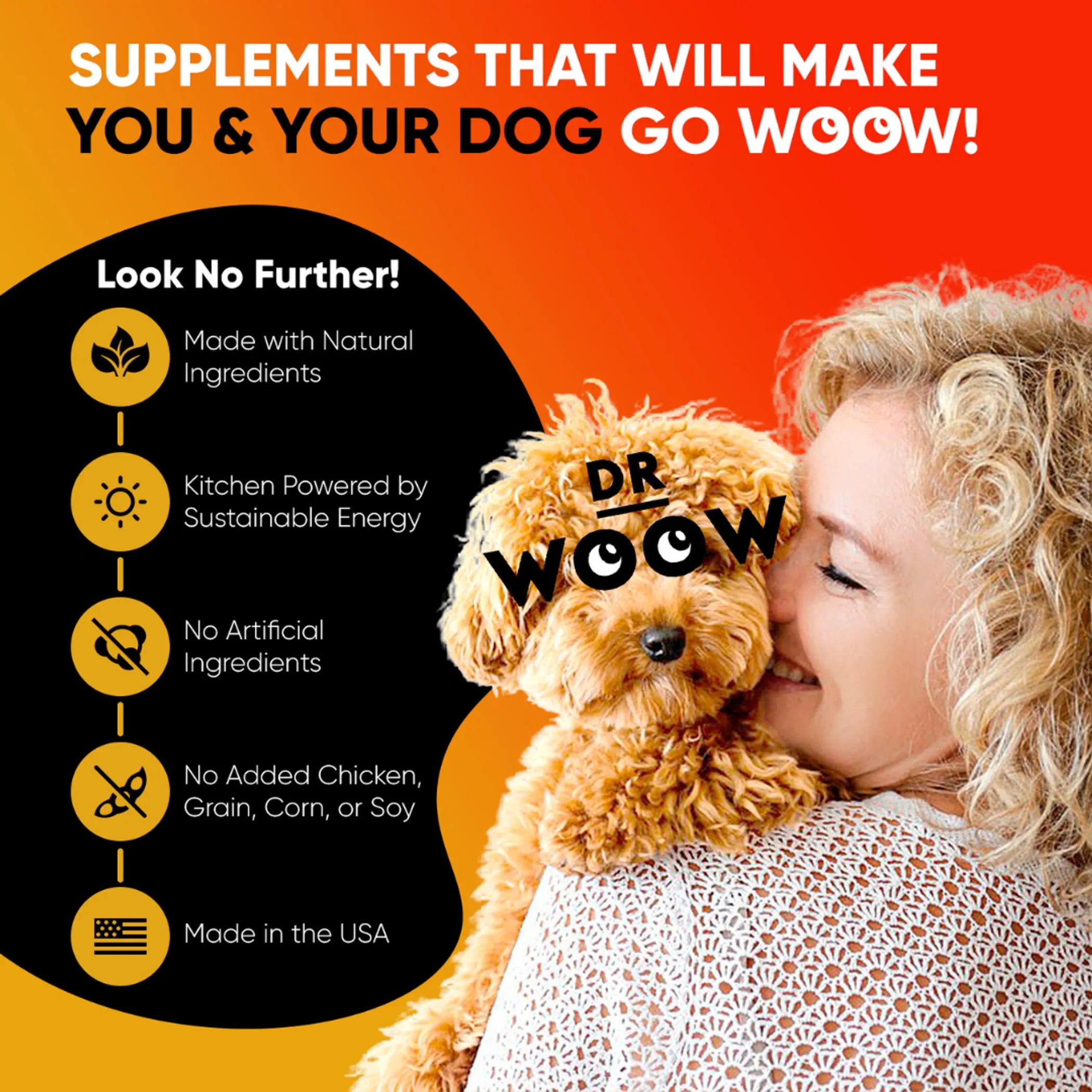 Dog vitamin chews by DR WOOW, 11-in-1 multifunctional animal vitamins and supplements in a colorful package.
