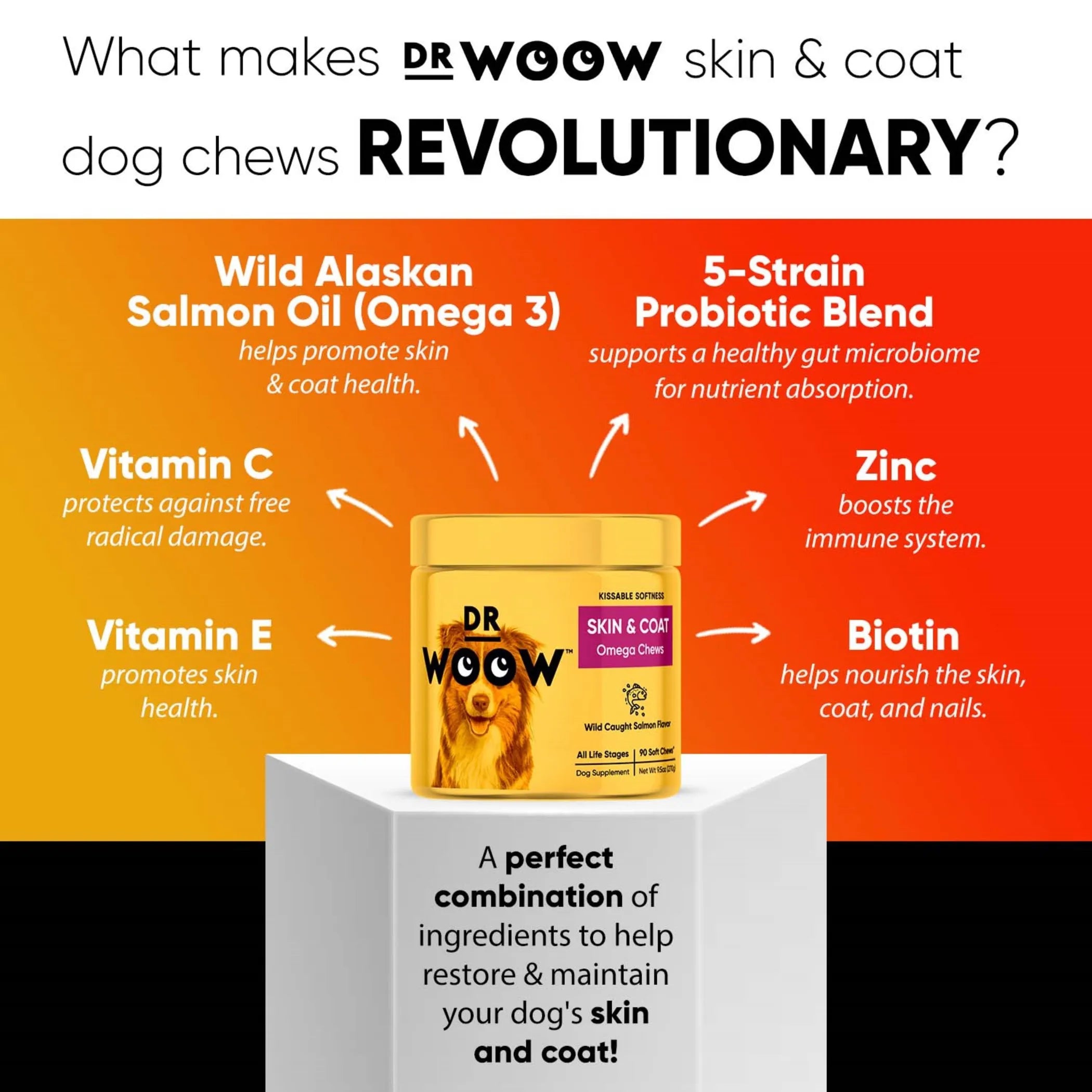 Dog skin and coat soft chews by DR WOOW, animal vitamins and supplements with colorful packaging and chew treats for healthy skin.