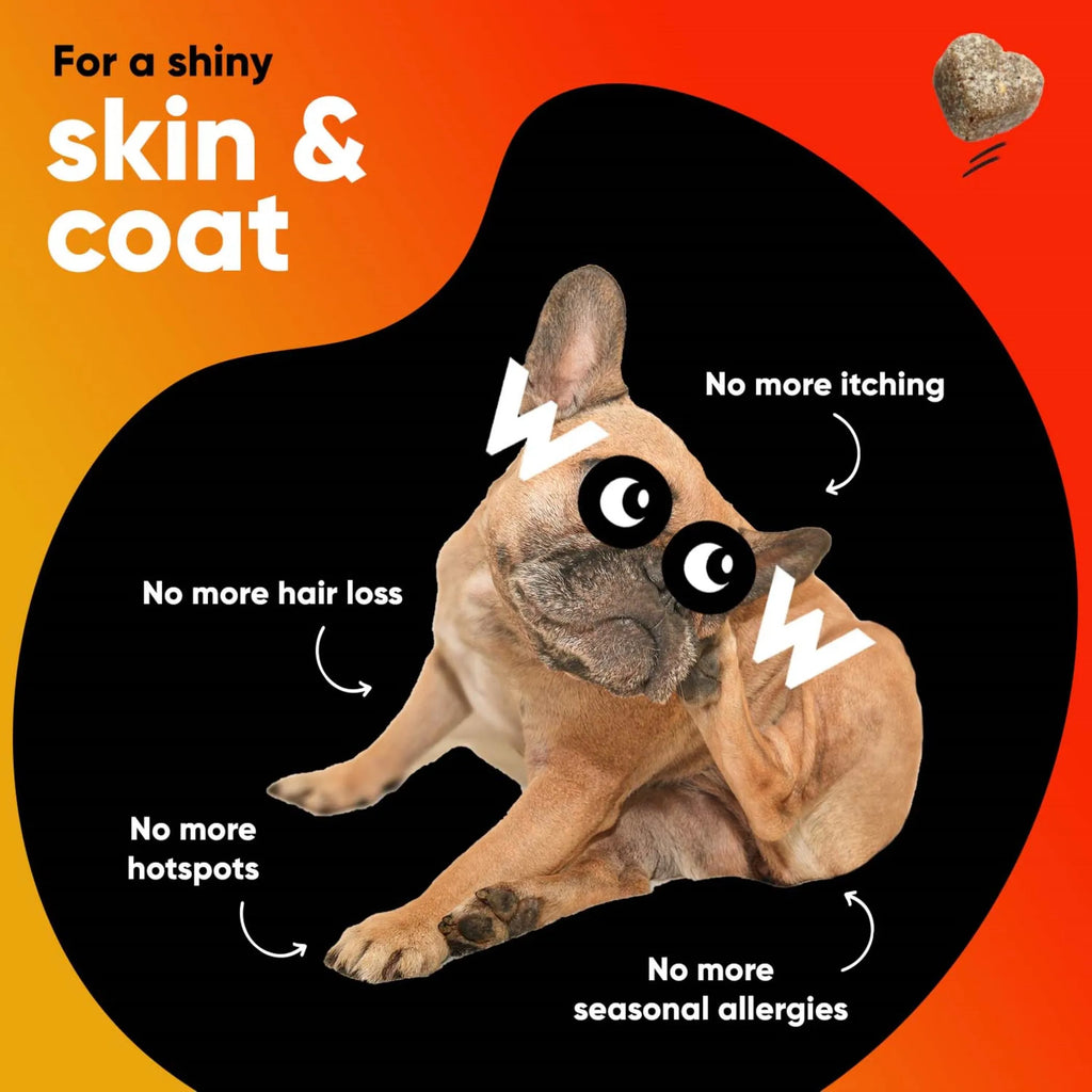 DR WOOW Skin and Coat Soft Chews for animals, showing a close-up of the chew treats with packaging in the background.