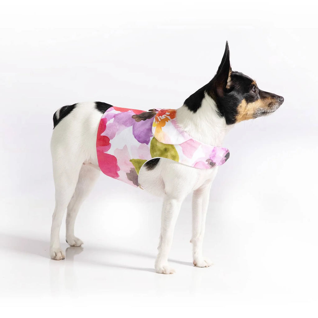 DoggieCoutureNY DCNY Fine Art Frolic pink vest-style dog harness with adjustable straps and metal D-ring for leash attachment.