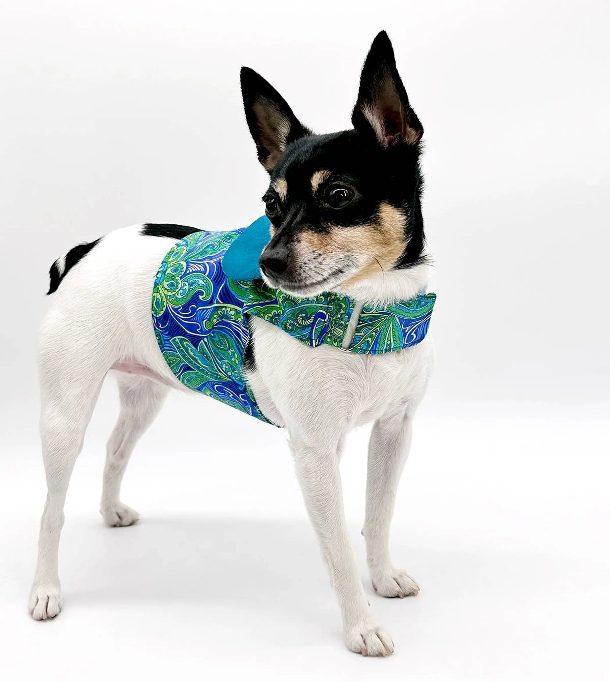 DoggieCoutureNY Pretty in Paisley vest-style harness for small dogs, featuring colorful paisley pattern and adjustable straps.