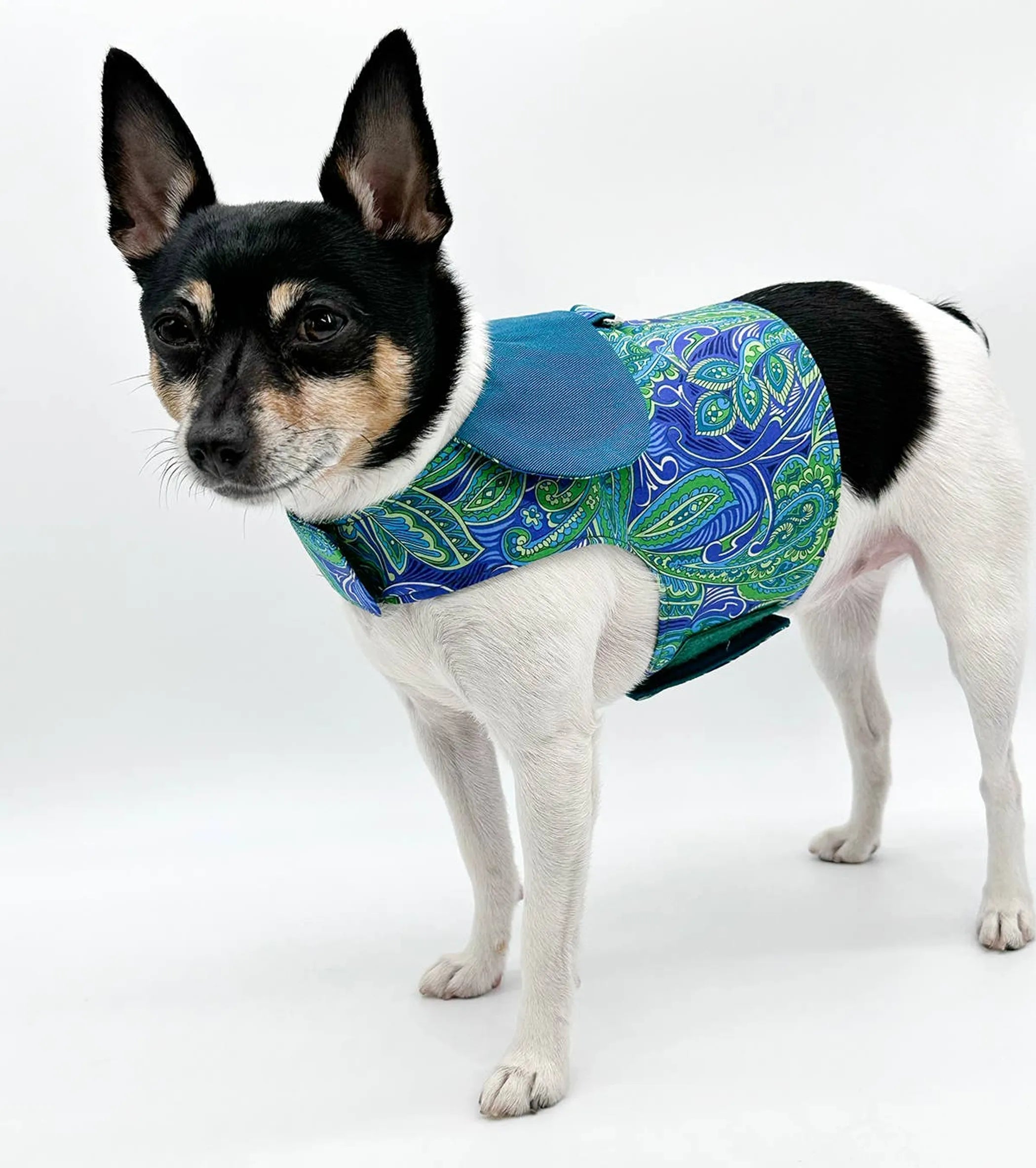 DoggieCoutureNY Pretty in Paisley vest-style harness for dogs, featuring a colorful paisley pattern and adjustable fit.
