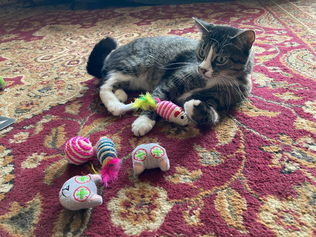 Smokey's Stash catnip toys and sisal mouse for cats, featuring colorful plush and natural sisal material for play and scratching.