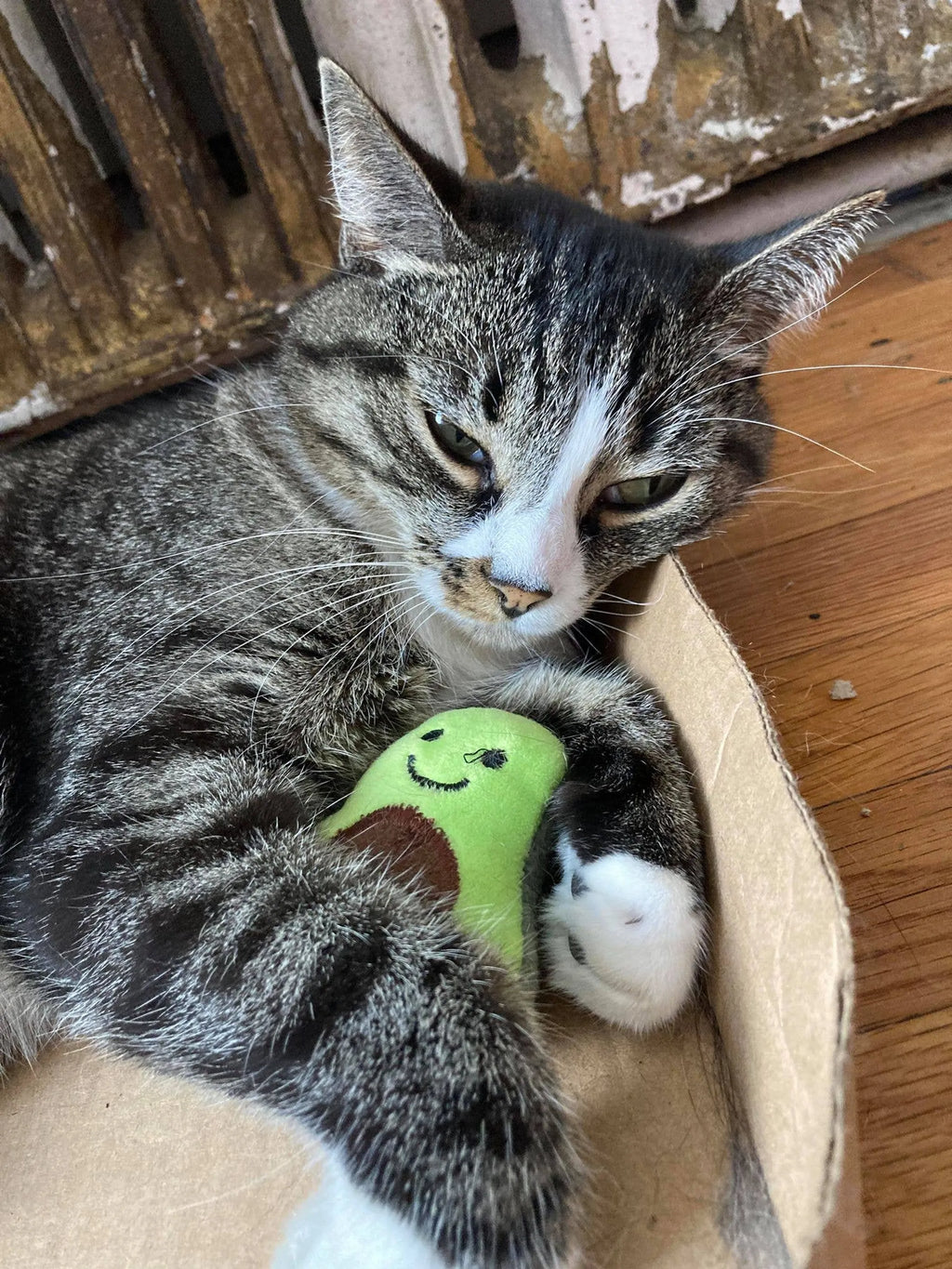Smokey's Stash catnip toys featuring avocado, banana, and sisal rope toys for playful cats.