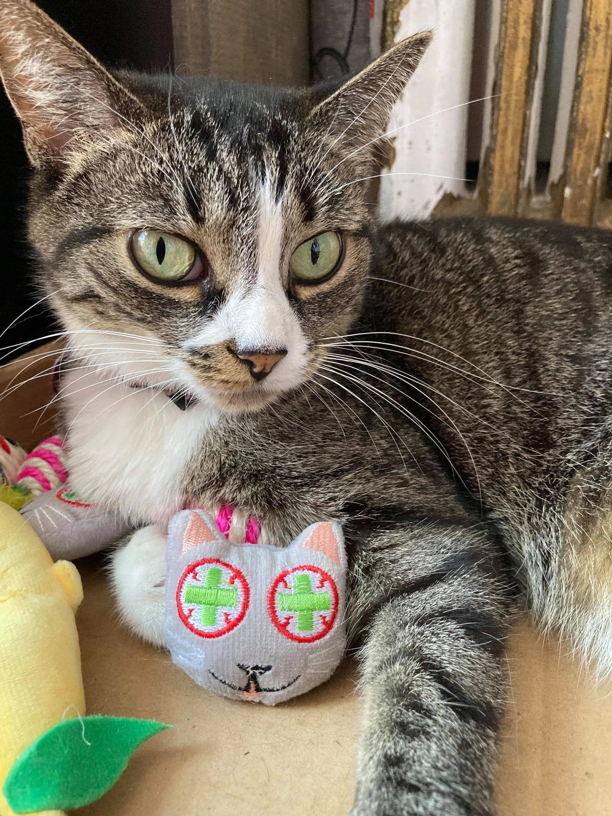 Smokey's Stash catnip toys including avocado, banana, and sisal rope toys for cats, with colorful, soft fabric and playful designs.